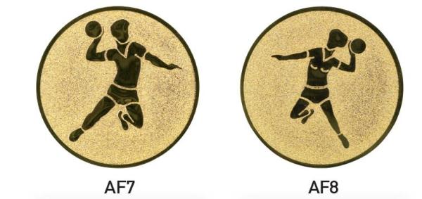Trikot Medaille Höhe 6,1cm ,3 Farben. Inkl. Schrift,Band und Montage je 1,30€